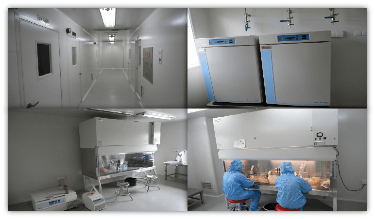 吉林中科干細(xì)胞公司局部