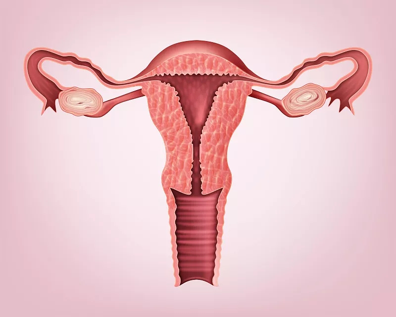 廣州醫(yī)科大學(xué)第三附屬醫(yī)院:干細胞移植治療卵巢早衰的臨床分析