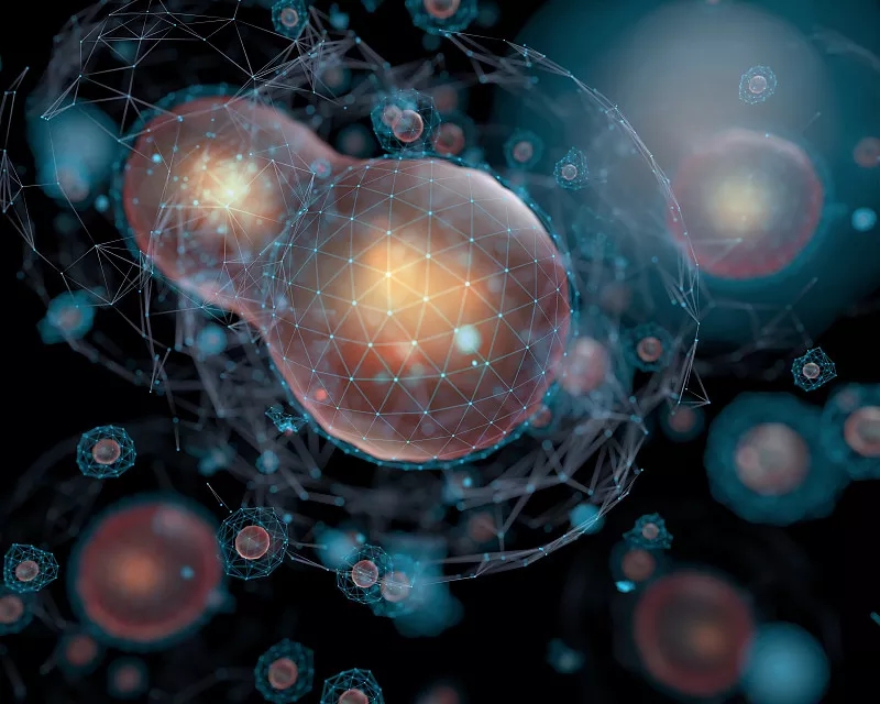 了解干細胞 了解干細胞