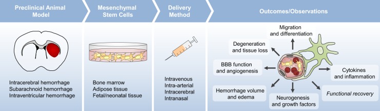 圖1:臨床前研究路線圖 圖1:臨床前研究路線圖