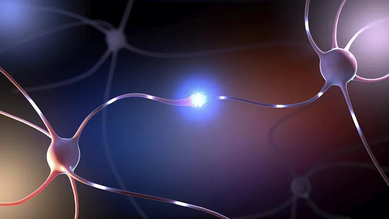 神經(jīng)干細(xì)胞移植治療中風(fēng)患者后運(yùn)動(dòng)功能恢復(fù) 神經(jīng)干細(xì)胞移植治療中風(fēng)患者后運(yùn)動(dòng)功能恢復(fù)