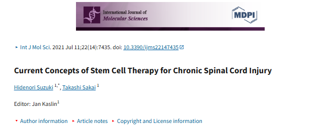 慢性脊髓損傷干細胞治療的當前概念 慢性脊髓損傷干細胞治療的當前概念