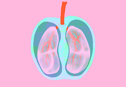 01 呼吸系統(tǒng)/肺部疾病 01 呼吸系統(tǒng)/肺部疾病