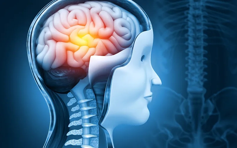 干細(xì)胞療法和大腦神經(jīng)系統(tǒng)疾病：真相是什么？