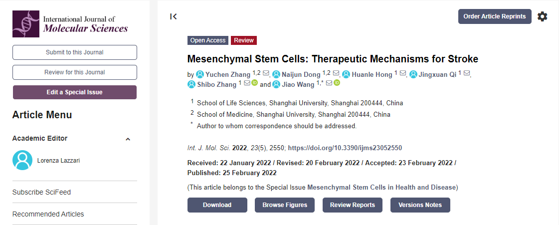 間充質(zhì)干細(xì)胞治療中風(fēng)機制