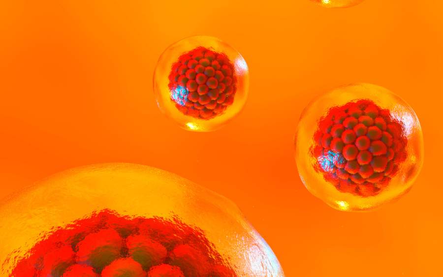 干細(xì)胞療法能持續(xù)多久？