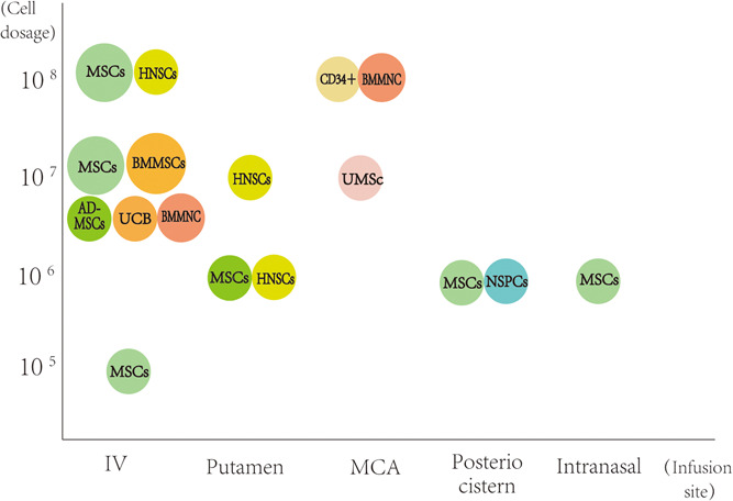 圖1：臨床試驗中細胞類型、劑量和輸注部位之間關系的可視化