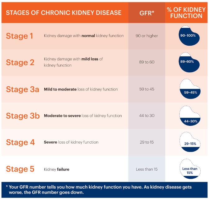 慢性腎病的階段、腎臟慢性腎病治療、腎衰竭治療費用