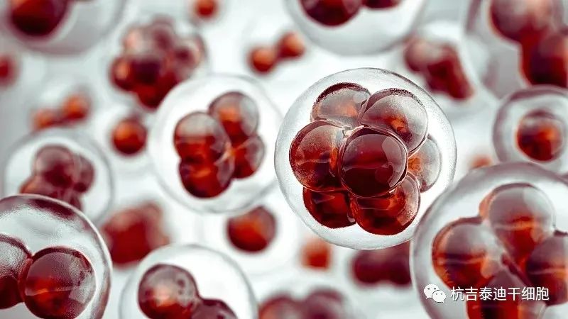 手足徐動性腦癱的最新治療方法是什么？