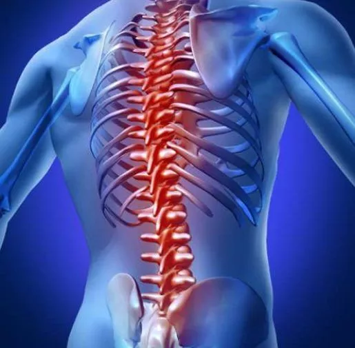 什么是脊髓損傷？