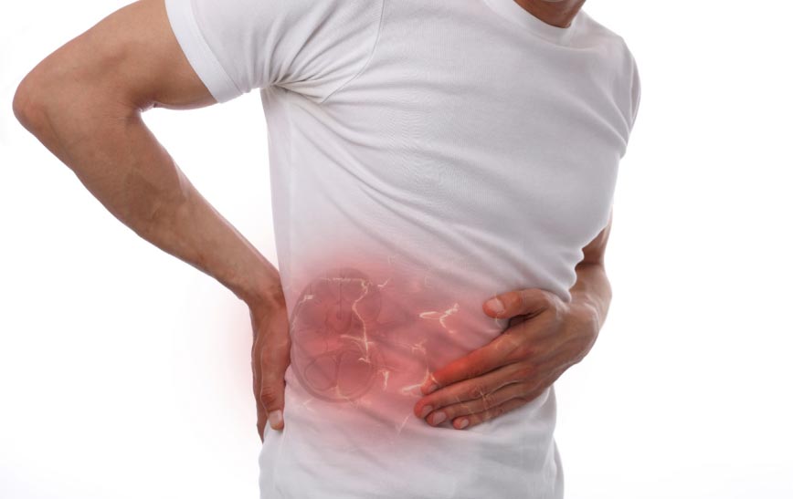 是什么導(dǎo)致慢性腎?。? class=