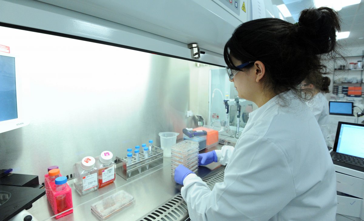 一位科學家正在研究誘導多能干細胞。圖片來源：Genome Research Limited