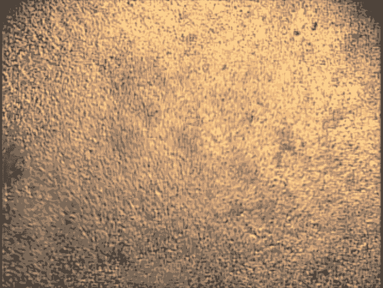 這些心臟細胞是從培養(yǎng)皿中的干細胞中培養(yǎng)出來的，可用于研究心臟的跳動節(jié)律。