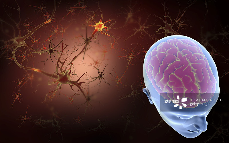 干細胞療法與神經(jīng)系統(tǒng)疾病的概述(2023) 干細胞療法與神經(jīng)系統(tǒng)疾病的概述(2023)