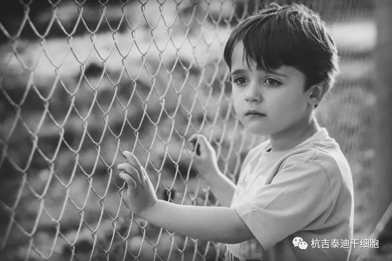 贛南醫(yī)科大學(xué):干細(xì)胞治療自閉癥兒童的療效和安全性分析 贛南醫(yī)科大學(xué):干細(xì)胞治療自閉癥兒童的療效和安全性分析