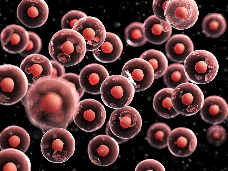 臍帶血干細胞移植有什么好處？