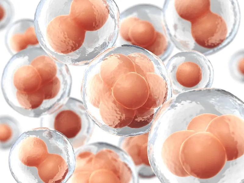 干細(xì)胞治療慢性阻塞肺病 干細(xì)胞治療慢性阻塞肺病