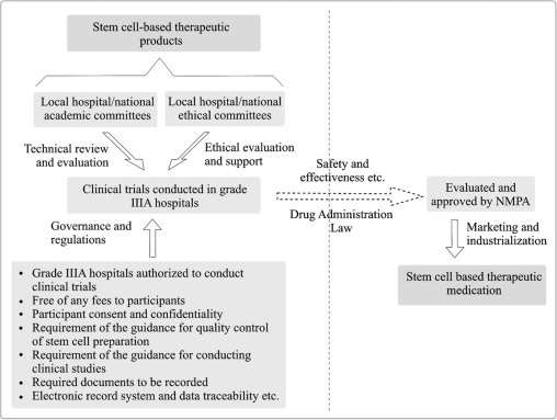 圖1。雙軌制監(jiān)管體制運行模式