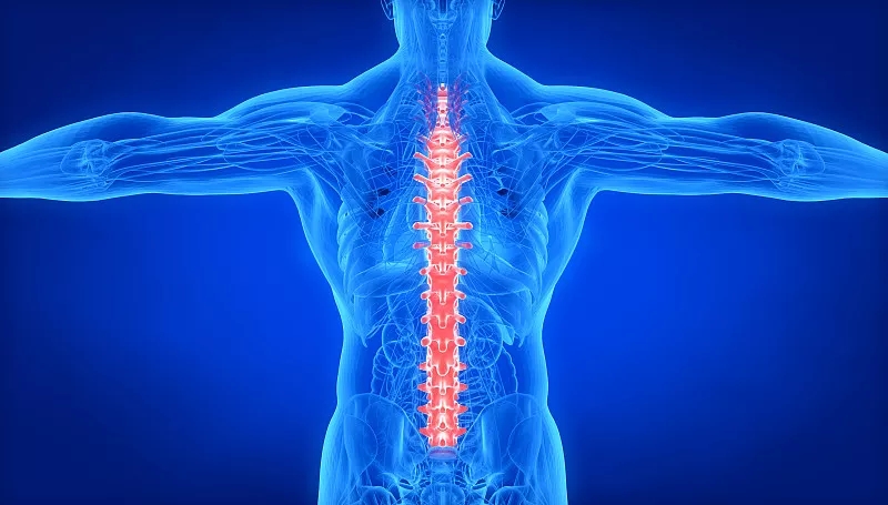 關(guān)于脊髓損傷和康復(fù)的常見(jiàn)問(wèn)題 (FAQ) 關(guān)于脊髓損傷和康復(fù)的常見(jiàn)問(wèn)題 (FAQ)