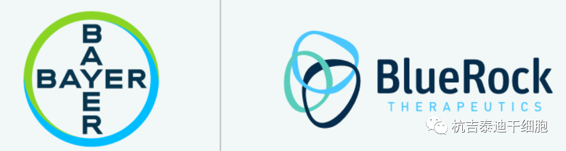 拜耳表示神經(jīng)元干細胞療法治療帕金森病:首個1期臨床試驗取得積極結(jié)果 拜耳表示神經(jīng)元干細胞療法治療帕金森?。菏讉€1期臨床試驗取得積極結(jié)果