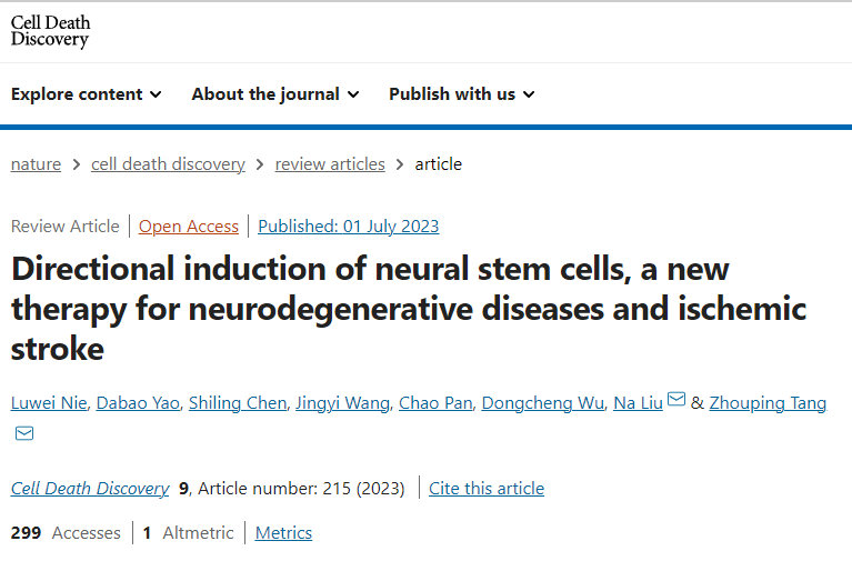 神經(jīng)干細胞定向誘導(dǎo)成為神經(jīng)退行性疾病和缺血性中風的新療法