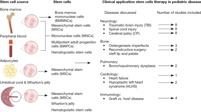 圖1：干細(xì)胞的來源和干細(xì)胞治療的臨床應(yīng)用。