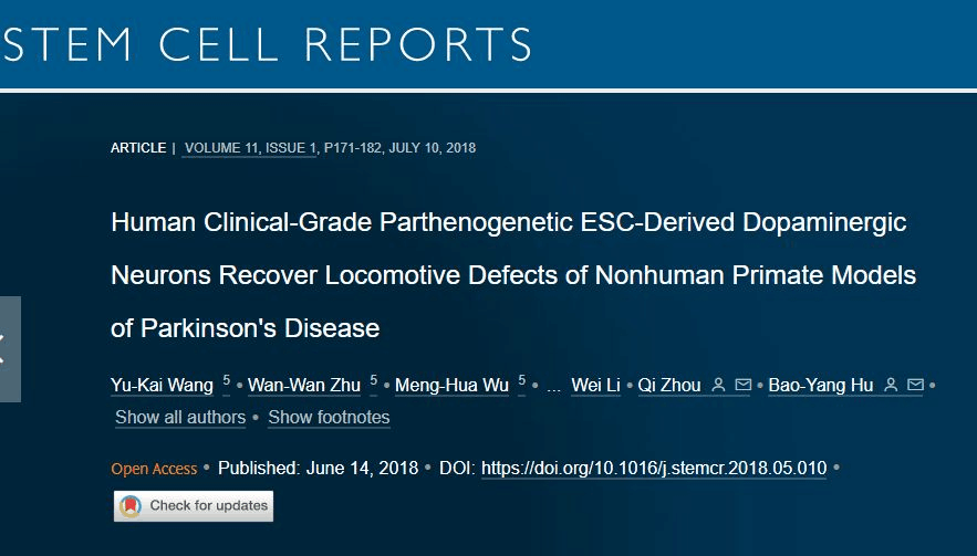 人類臨床級孤雌生殖 ESC 衍生的多巴胺能神經(jīng)元可恢復(fù)非人類靈長類動物帕金森病模型的運動缺陷 人類臨床級孤雌生殖 ESC 衍生的多巴胺能神經(jīng)元可恢復(fù)非人類靈長類動物帕金森病模型的運動缺陷