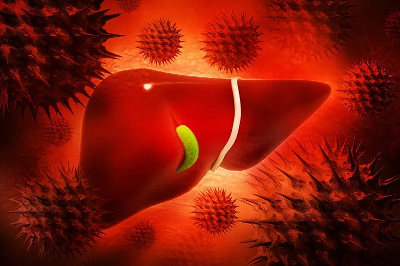 什么是乙型肝炎？