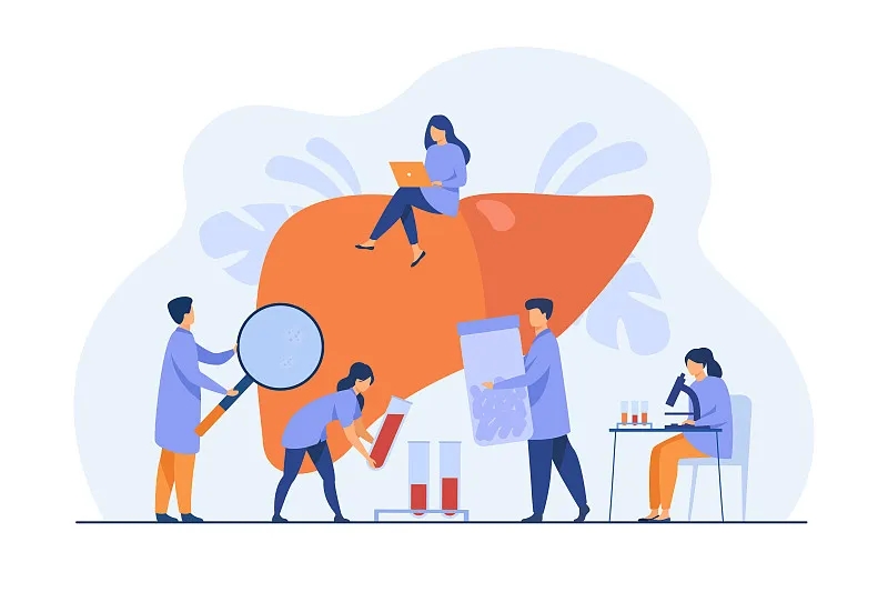 肝臟有什么作用？