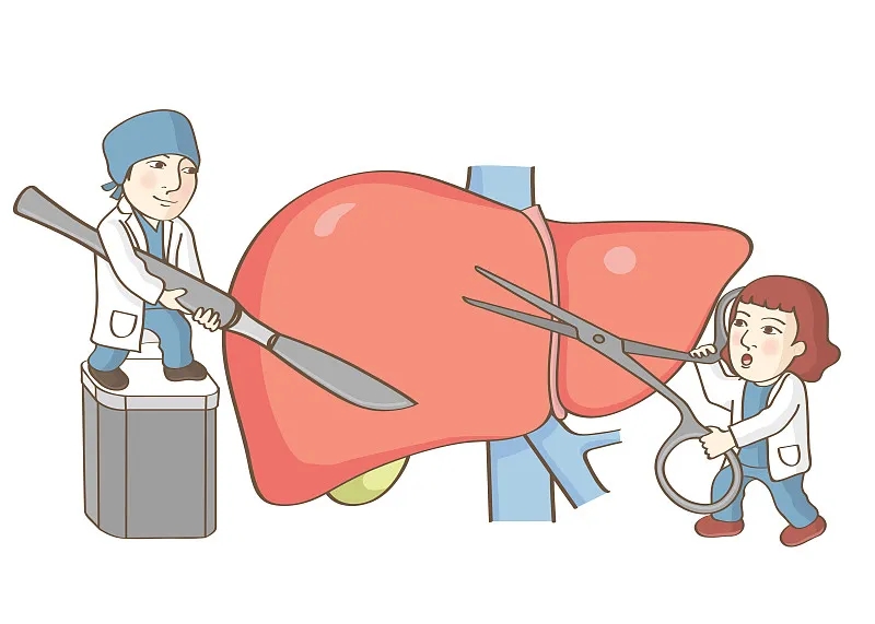 關(guān)于肝移植的事實(shí) 關(guān)于肝移植的事實(shí)