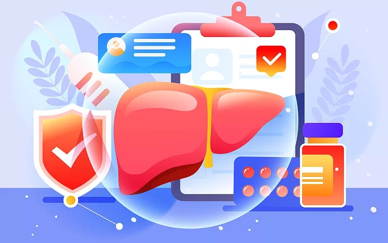 干細(xì)胞與肝病治療相關(guān)問(wèn)題解答 干細(xì)胞與肝病治療相關(guān)問(wèn)題解答