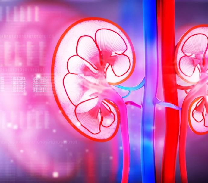 腎臟疾病的類型有哪些？