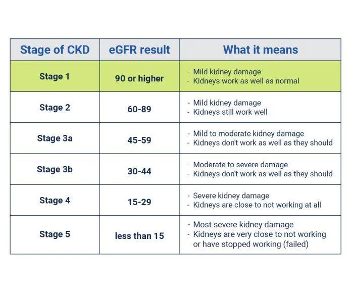 了解有關(guān)慢性腎病各個(gè)階段的更多信息 了解有關(guān)慢性腎病各個(gè)階段的更多信息