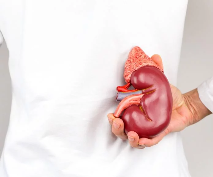 慢性腎臟病的第一階段：原因、癥狀和治療