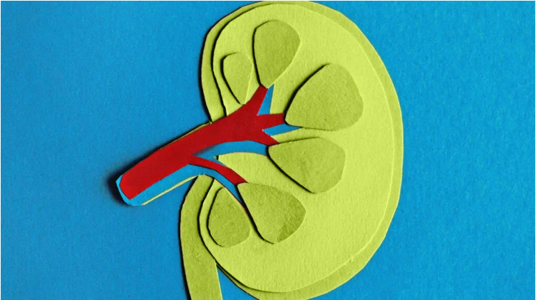 慢性腎臟病 (CKD) 的癥狀、分期和治療方法