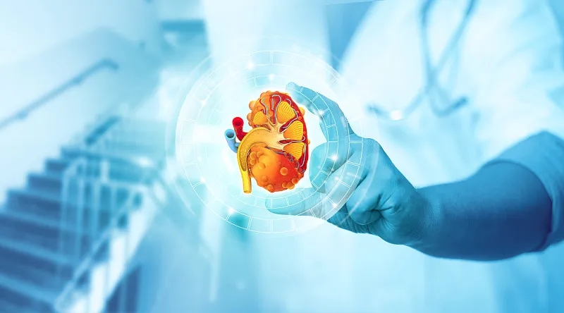 2型糖尿病與腎病的關(guān)系 2型糖尿病與腎病的關(guān)系