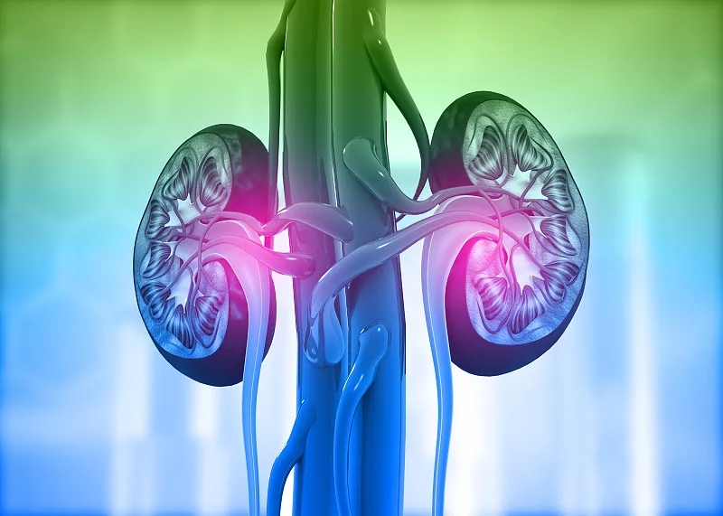 慢性腎病：癥狀-原因-危險(xiǎn)因素