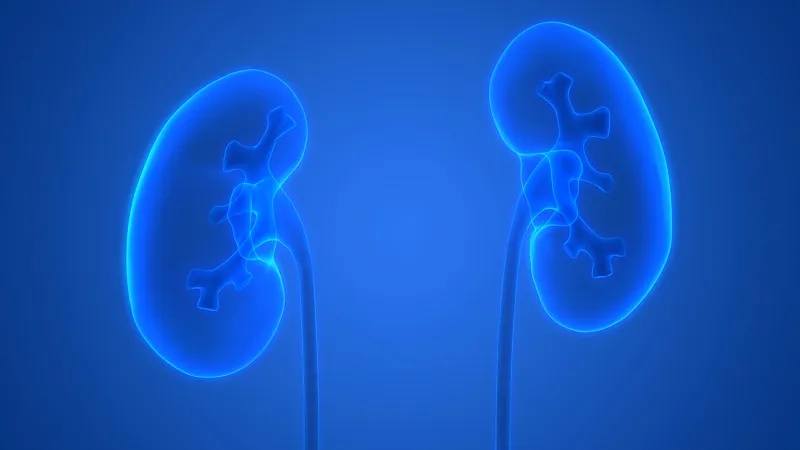 干細胞在治療腎病中取得哪些進展？未來將面臨哪些挑戰(zhàn)？