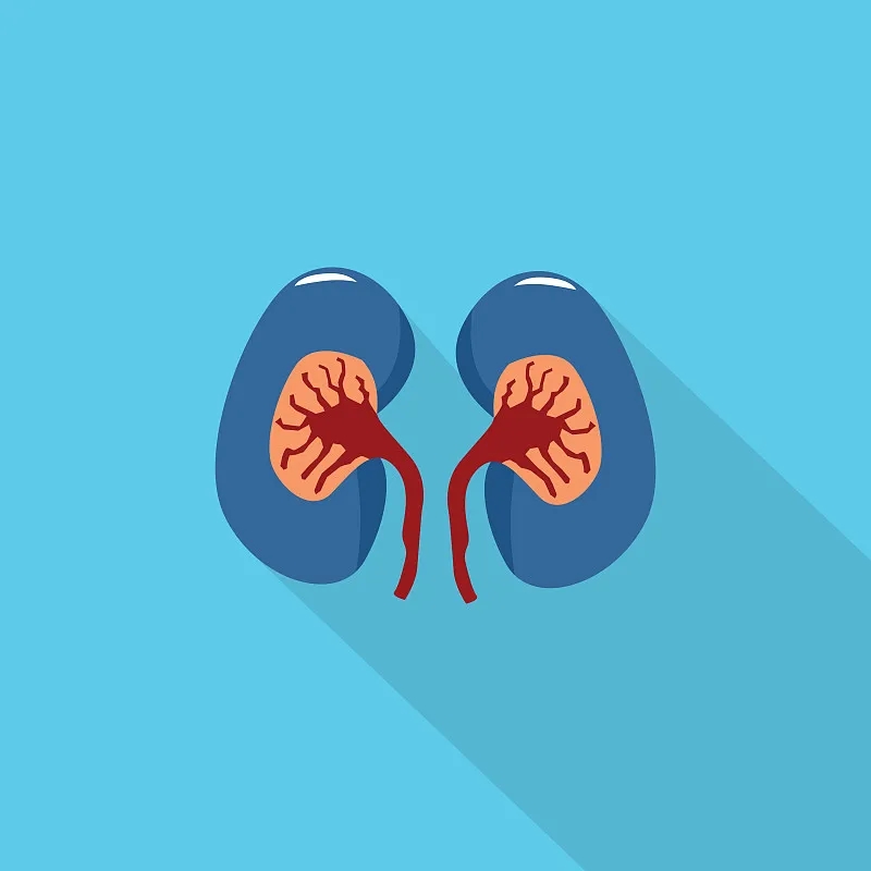 干細(xì)胞療法對(duì)狼瘡性腎炎和系統(tǒng)性紅斑狼瘡腎功能的療效 干細(xì)胞療法對(duì)狼瘡性腎炎和系統(tǒng)性紅斑狼瘡腎功能的療效