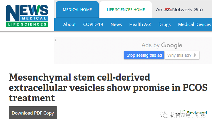 干細(xì)胞衍生的細(xì)胞外囊泡在多囊卵巢綜合癥治療中顯示出前景 干細(xì)胞衍生的細(xì)胞外囊泡在多囊卵巢綜合癥治療中顯示出前景