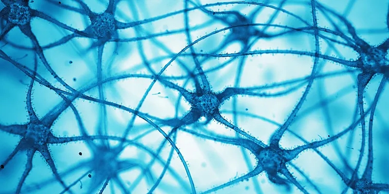 什么是神經(jīng)細胞？為什么它們很重要？