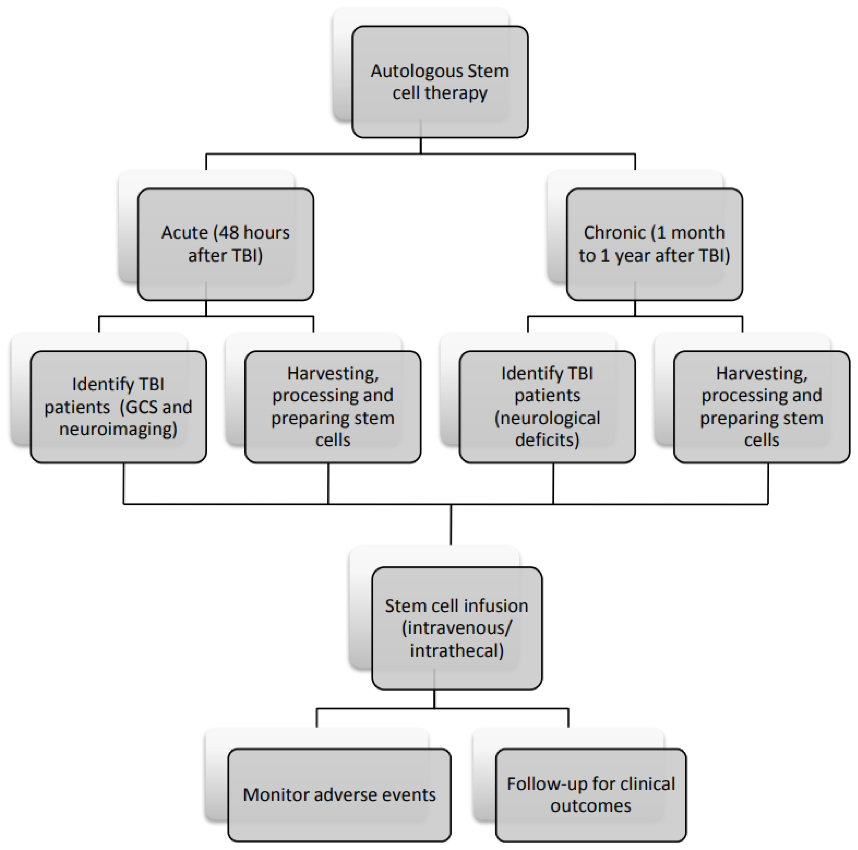 圖3：間充質(zhì)干細(xì)胞治療腦損傷患者的流程圖。