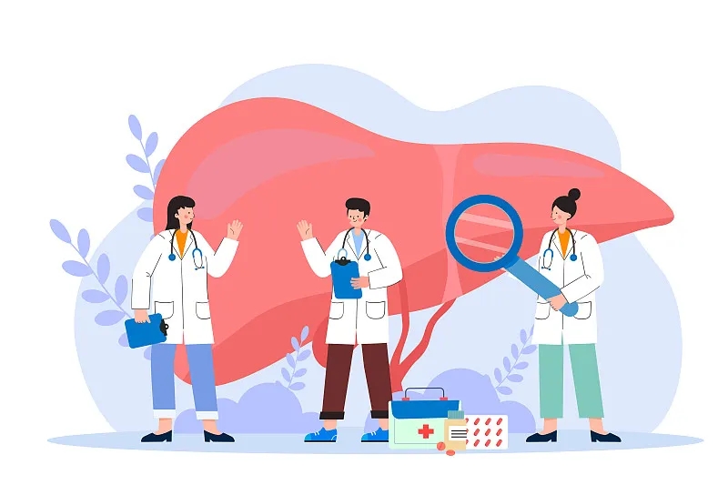 間充質(zhì)干細胞治療肝病的新視角:恢復線粒體功能 間充質(zhì)干細胞治療肝病的新視角:恢復線粒體功能