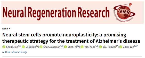 通過移植神經(jīng)干細(xì)胞來改善阿爾茨海默病小鼠的認(rèn)知缺陷和海馬突觸的丟失 通過移植神經(jīng)干細(xì)胞來改善阿爾茨海默病小鼠的認(rèn)知缺陷和海馬突觸的丟失