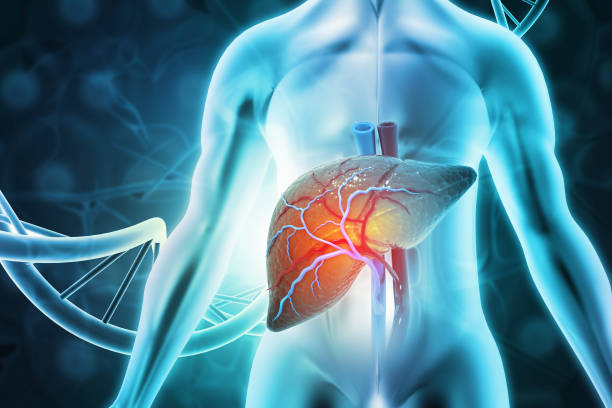 干細(xì)胞治療肝病的臨床前景與研究現(xiàn)狀的綜述 干細(xì)胞治療肝病的臨床前景與研究現(xiàn)狀的綜述