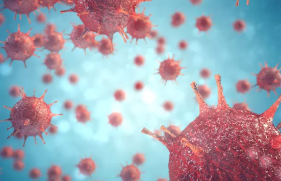 間充質(zhì)干細(xì)胞在治療新冠病毒導(dǎo)致的中風(fēng)中具有臨床價(jià)值 間充質(zhì)干細(xì)胞在治療新冠病毒導(dǎo)致的中風(fēng)中具有臨床價(jià)值