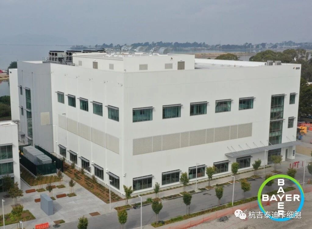 投資2.5億美元！拜耳新建細(xì)胞治療工廠，推進(jìn)細(xì)胞療法生產(chǎn)！