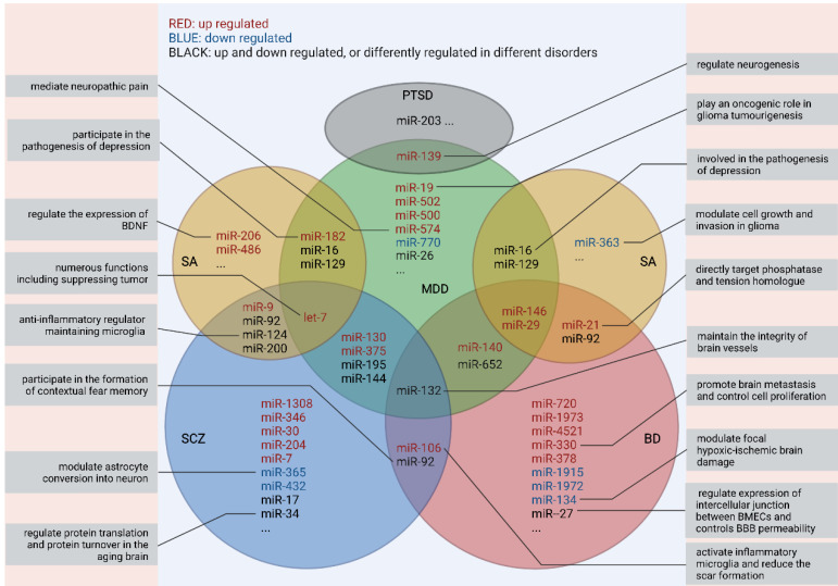 圖2:不同研究中外周miRNA及其功能的重疊 圖2:不同研究中外周miRNA及其功能的重疊