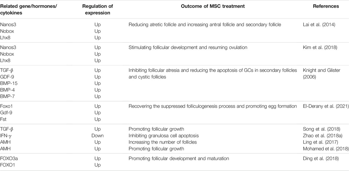 表2間充質(zhì)干細胞對卵泡發(fā)育的影響 表2間充質(zhì)干細胞對卵泡發(fā)育的影響