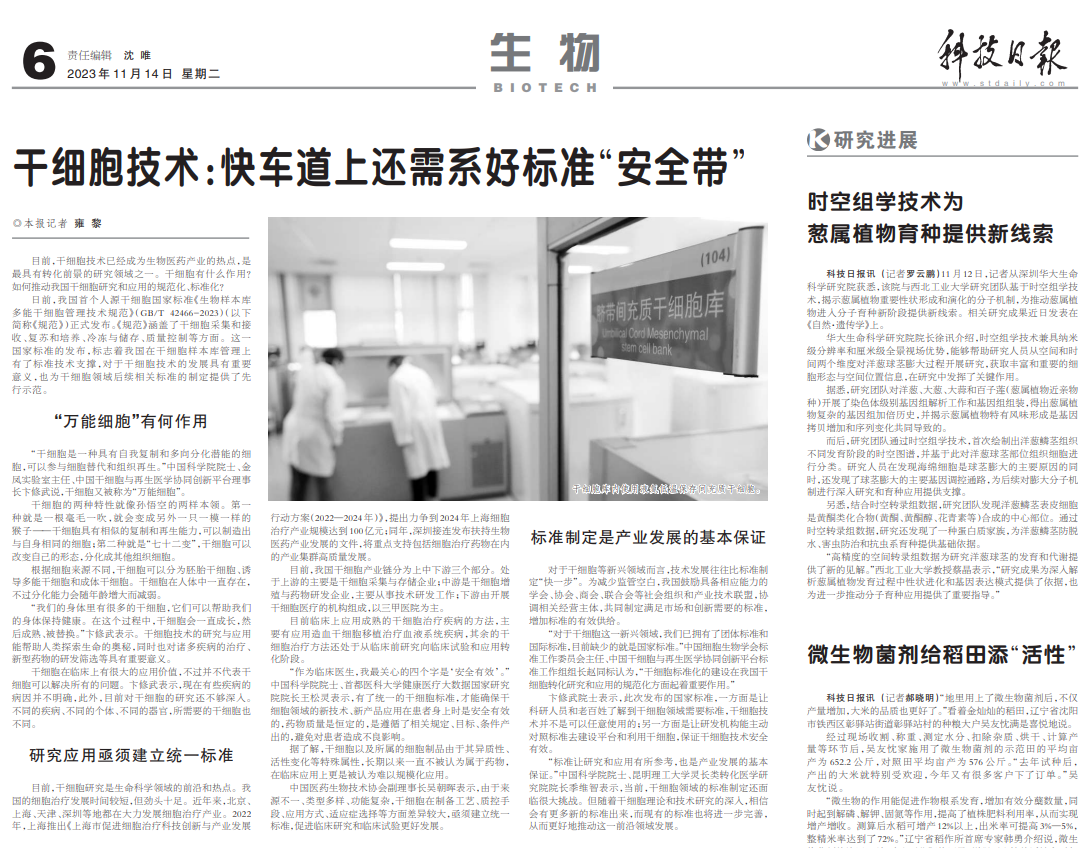 科技日?qǐng)?bào) | 干細(xì)胞技術(shù):快車道上還需系好標(biāo)準(zhǔn)“安全帶” 科技日?qǐng)?bào) | 干細(xì)胞技術(shù):快車道上還需系好標(biāo)準(zhǔn)“安全帶”